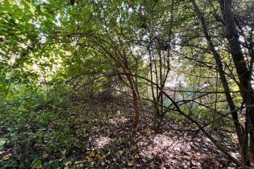 Фото №5: Коммерческая земля 21 сот. - Азовская, ул. Набережная