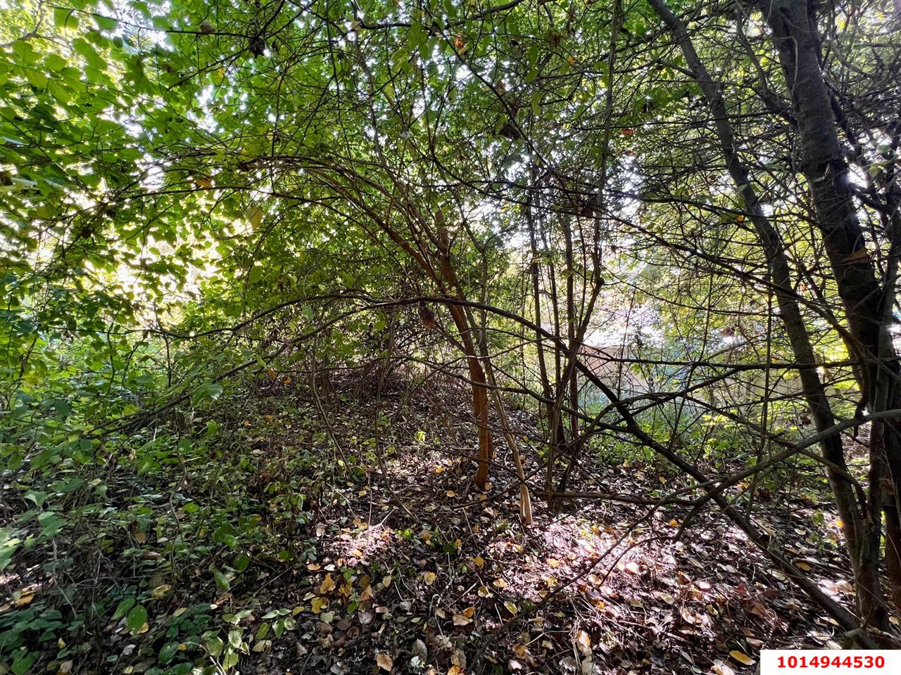 Фото №5: Коммерческая земля 21 сот. - Азовская, ул. Набережная