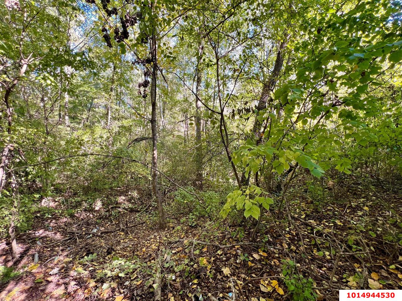 Фото №6: Коммерческая земля 21 сот. - Азовская, ул. Набережная