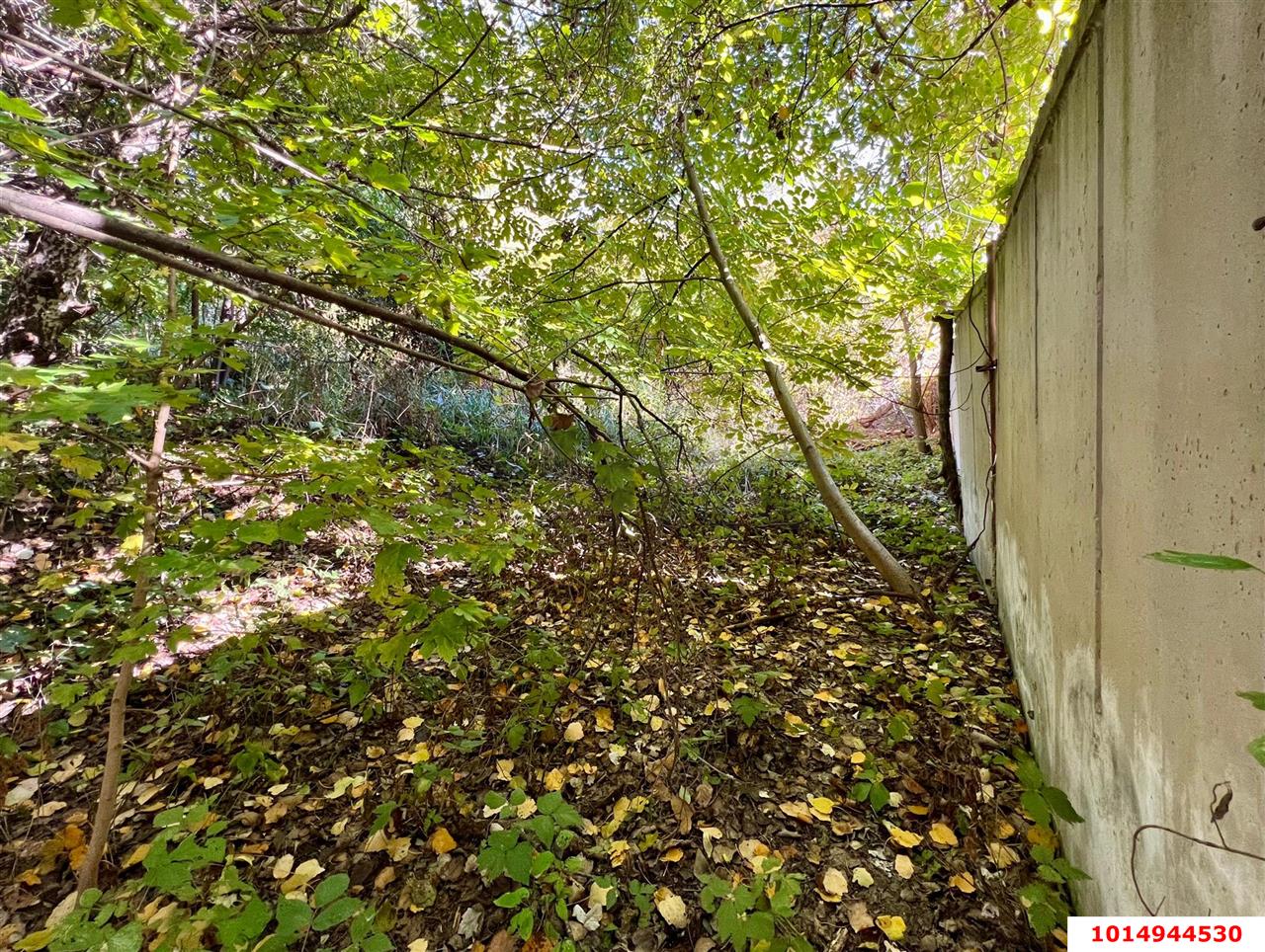 Фото №3: Коммерческая земля 21 сот. - Азовская, ул. Набережная