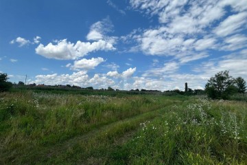 Фото №1: Земельный участок под ИЖС 15 сот. - Красносельское, пер. Красносельский, 4