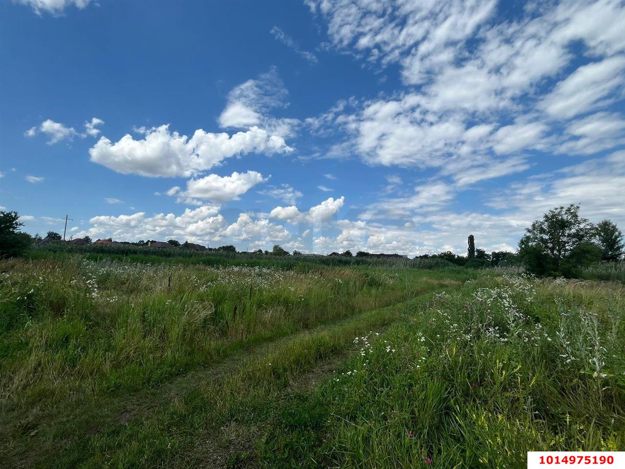 Фото №1: Земельный участок 15 сот. - Красносельское, пер. Красносельский, 4