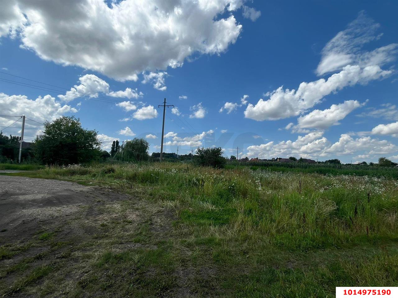 Фото №2: Земельный участок 15 сот. - Красносельское, пер. Красносельский, 4