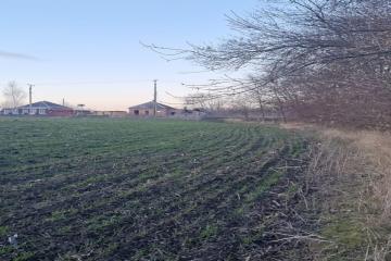 Фото №2: Земельный участок 4 сот. - Саратовский, 