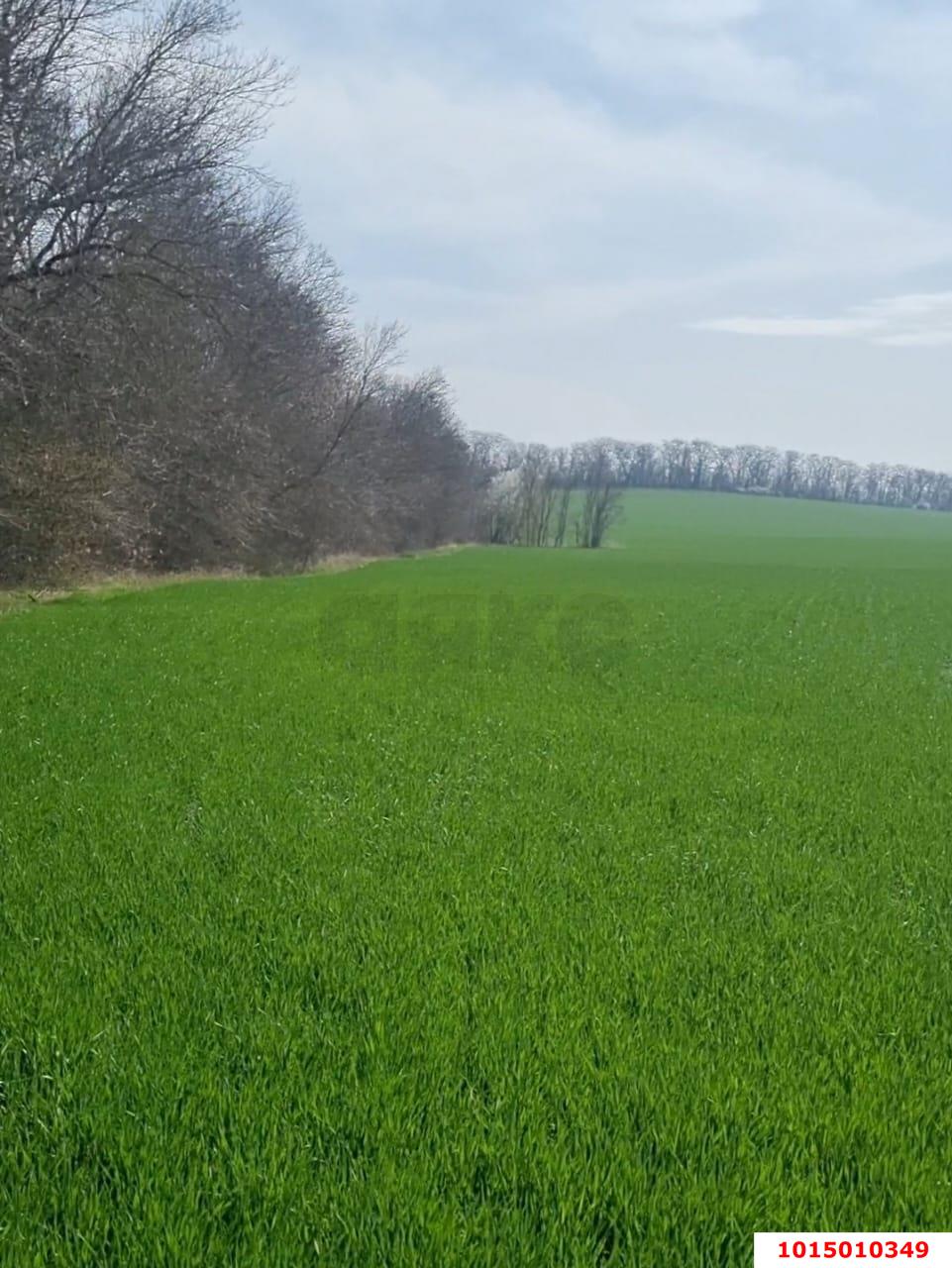 Фото №8: Земельный участок под ИЖС 4 сот. - Саратовский