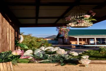 Фото №1: Коммерция 103 м² - Новый Сад, ул. Полевая, 44