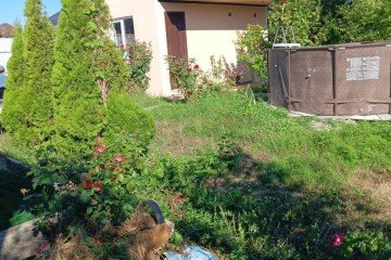 Фото №1: Участок садоводство 6.5 сот. - Аэропорт, мкр. Прикубанский внутригородской округ, ул. Рябиновая