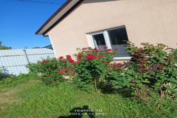 Фото №2: Дом 50 м² - Аэропорт, мкр. Прикубанский внутригородской округ, ул. Рябиновая