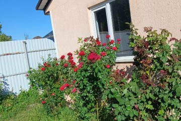 Фото №2: Дом 50 м² - Аэропорт, мкр. Прикубанский внутригородской округ, ул. Рябиновая