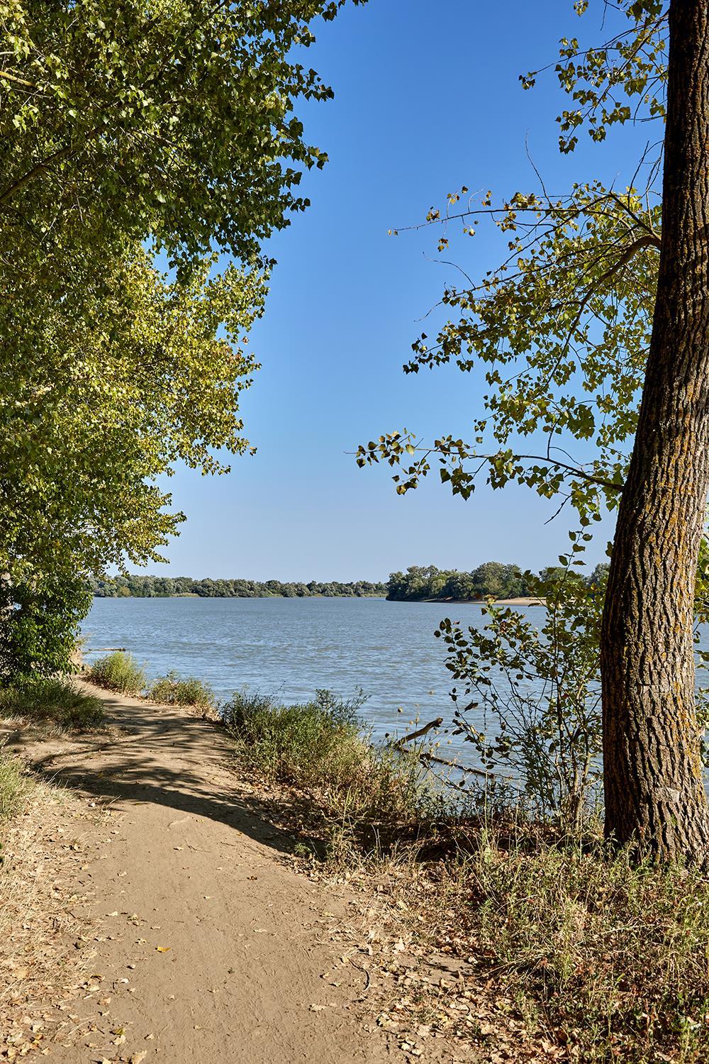 Фото №1: Земельный участок 4.17 сот. - Елизаветинская, Прикубанский внутригородской округ, ст Кубань, ул. Клубничная, 74