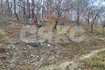 Фото №2: Коммерческая земля - Геленджик, ул. Ленина