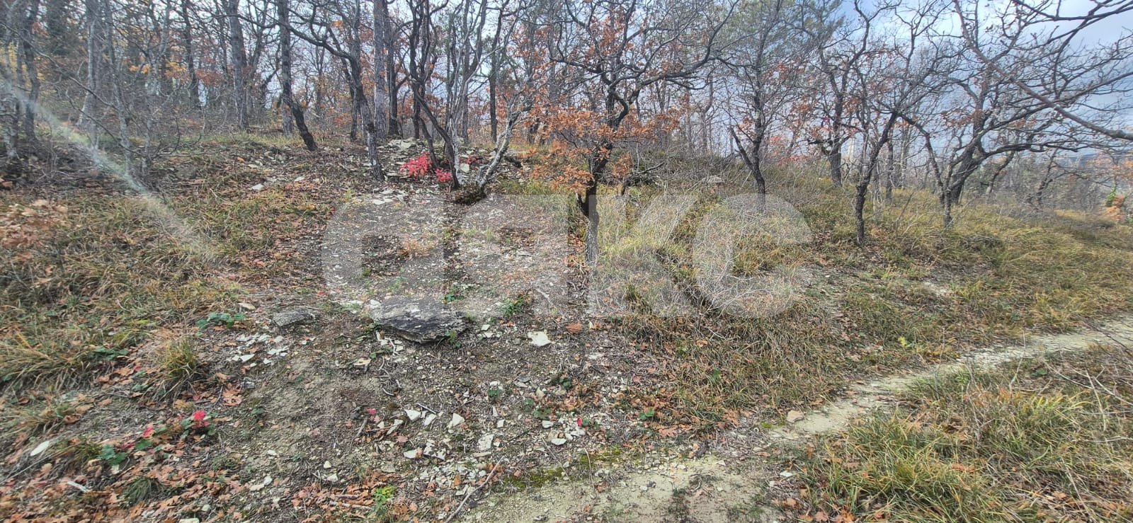 Фото №2: Коммерческая земля 8 сот. - Геленджик, ул. Ленина