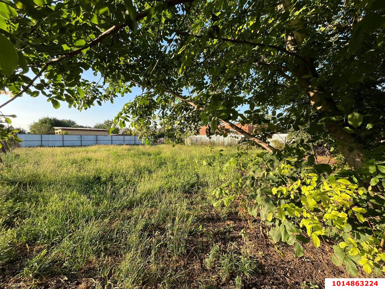 Фото №3: Земельный участок 4 сот. - Краснодар, Прикубанский внутригородской округ, Сады Калинина, ст Животновод, ул. Вишнёвая, 157