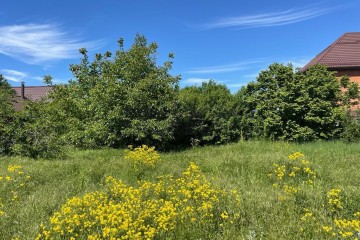 Фото №2: Участок садоводство 4 сот. - Краснодар, ст Животновод, ул. Вишнёвая, 157