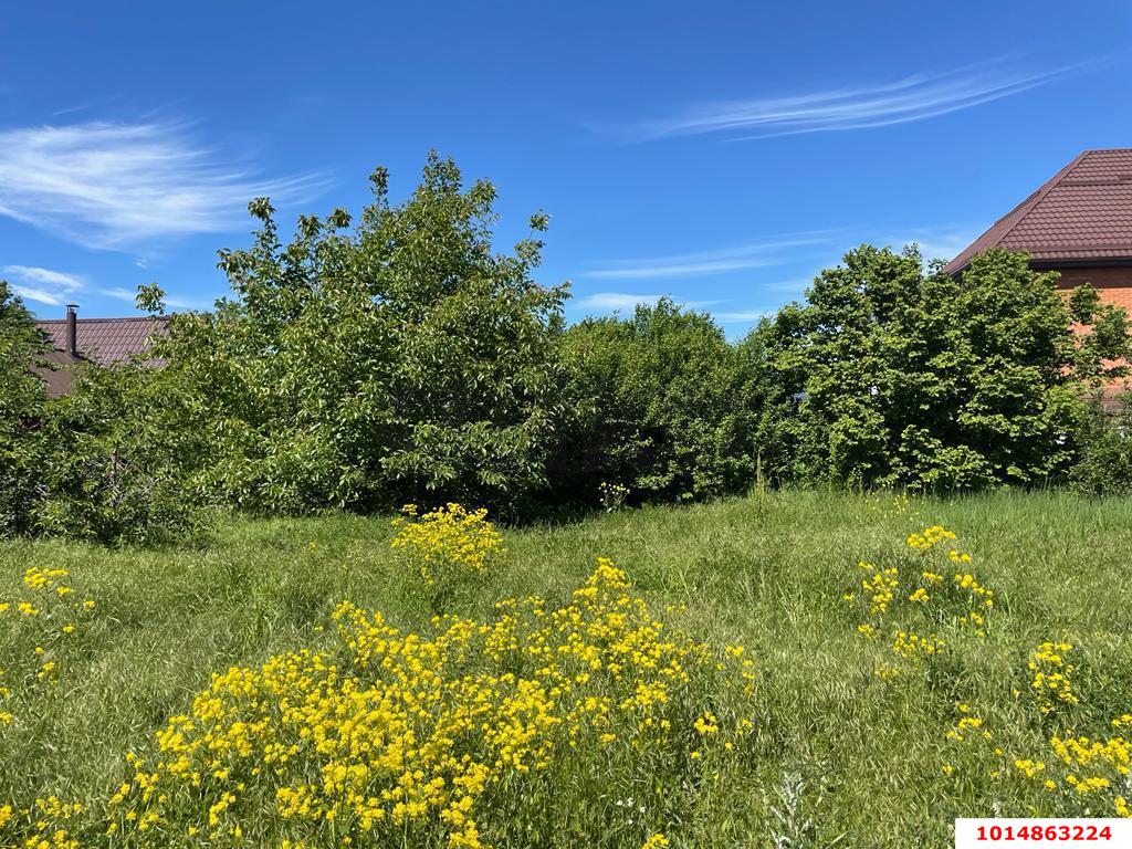 Фото №2: Земельный участок 4 сот. - Краснодар, Прикубанский внутригородской округ, Сады Калинина, ст Животновод, ул. Вишнёвая, 157