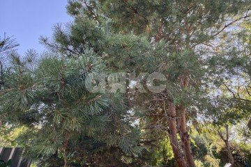 Фото №4: Дом 136 м² - Кореновск, мкр. 2-й квартал, ул. Ленина