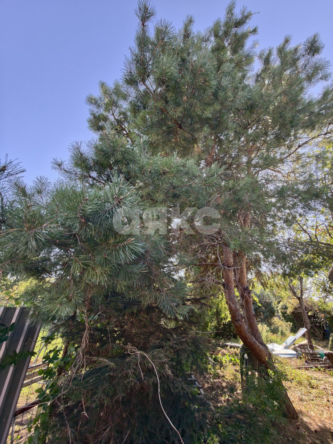 Фото №4: Дом 136 м² + 876 сот. - Кореновск, 2-й квартал, ул. Ленина
