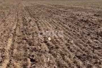 Фото №1: Личное подсобное хозяйство - Удобная, 