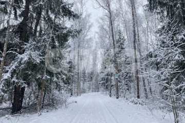 Фото №1: Участок садоводство - СНТ Залесье, 53