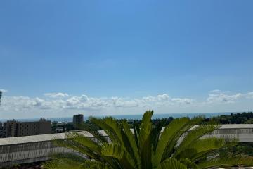 Фото №3: Пентхаус 185 м² - Сочи, мкр. жилой комплекс Воровского, ул. Воровского, 41