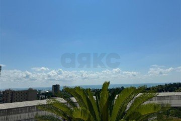Фото №3: Пентхаус 185 м² - Сочи, р. Центральный, ул. Воровского, 41