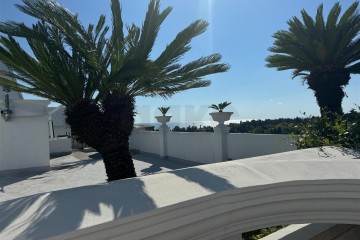 Фото №1: Пентхаус 185 м² - Сочи, р. Центральный, ул. Воровского, 41