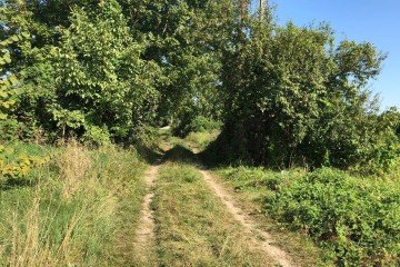 Фото №2: Участок садоводство 8 сот. - Урожай, мкр. Карасунский внутригородской округ, ул. Вишнёвая, 428