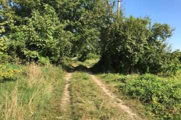 Фото №2: Земельный участок 8 сот. - Урожай, мкр. Карасунский внутригородской округ, ул. Вишнёвая, 428