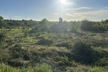 Фото №3: Коммерческая земля 24 сот. - Черноморский, ст Нефтяник, ул. Юбилейная, 1А