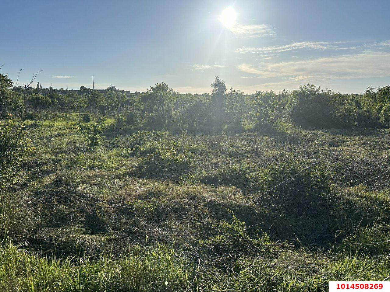 Фото №3: Коммерческая земля 24 сот. - Черноморский, Нефтяник, ул. Юбилейная, 1А