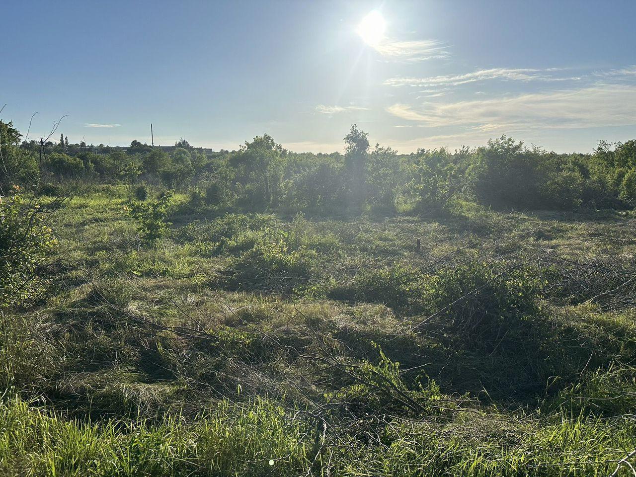 Фото №3: Коммерция 23 м² - Черноморский, ст Нефтяник, ул. Юбилейная, 1А