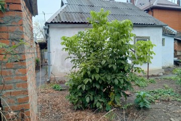 Фото №4: Дом 49 м² - Краснодар, мкр. Сельскохозяйственный Институт, ул. Академика Трубилина, 126