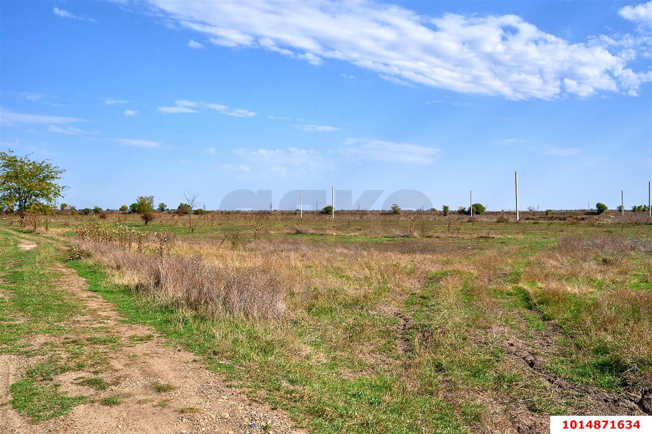 Фото №11: Земельный участок под ИЖС 5 сот. - Новобжегокай