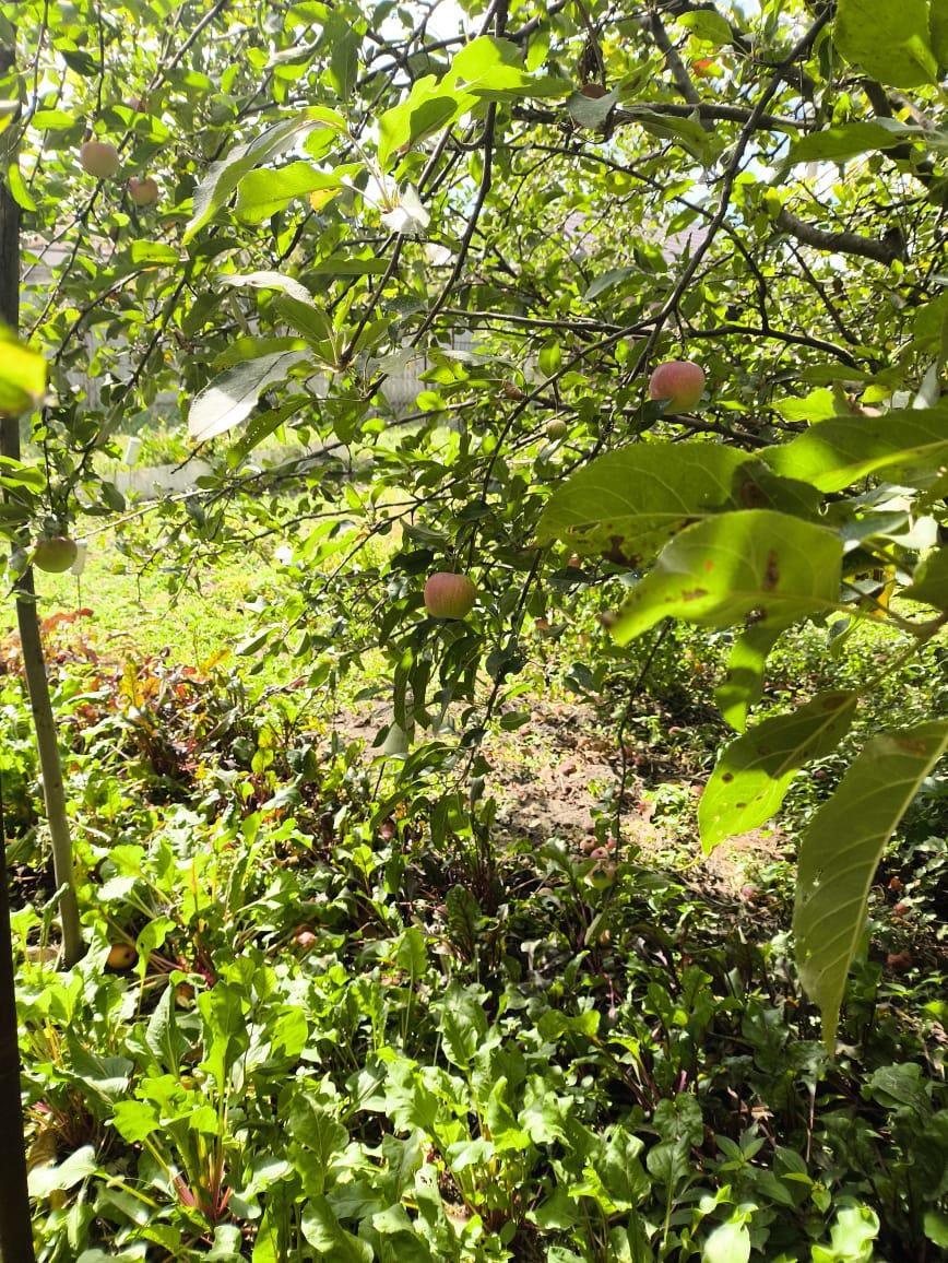 Фото №8: Земельный участок 8.47 сот. - Строитель, мкр. Прикубанский внутригородской округ, ул. Сиреневая, 123