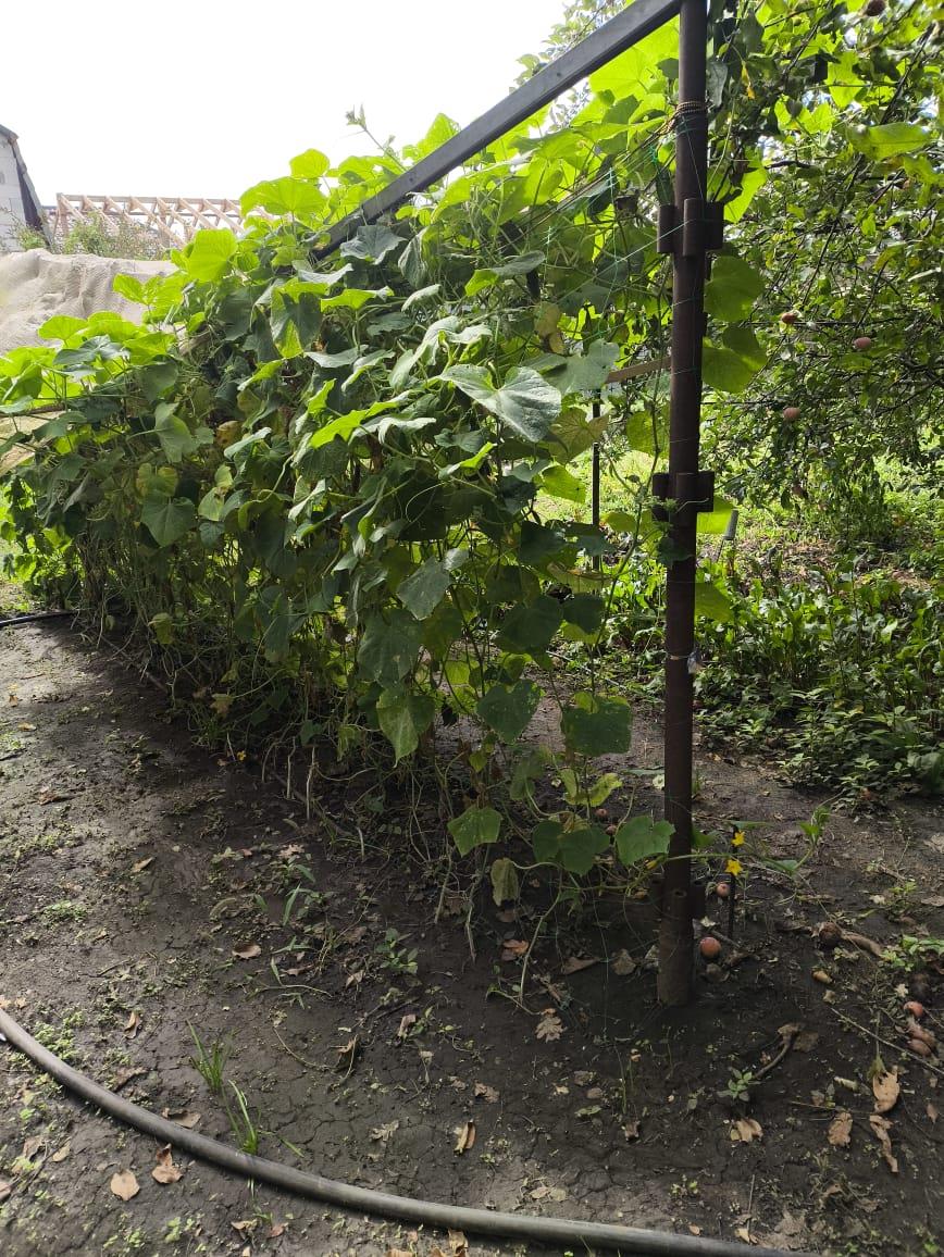 Фото №6: Земельный участок 8.47 сот. - Строитель, мкр. Прикубанский внутригородской округ, ул. Сиреневая, 123