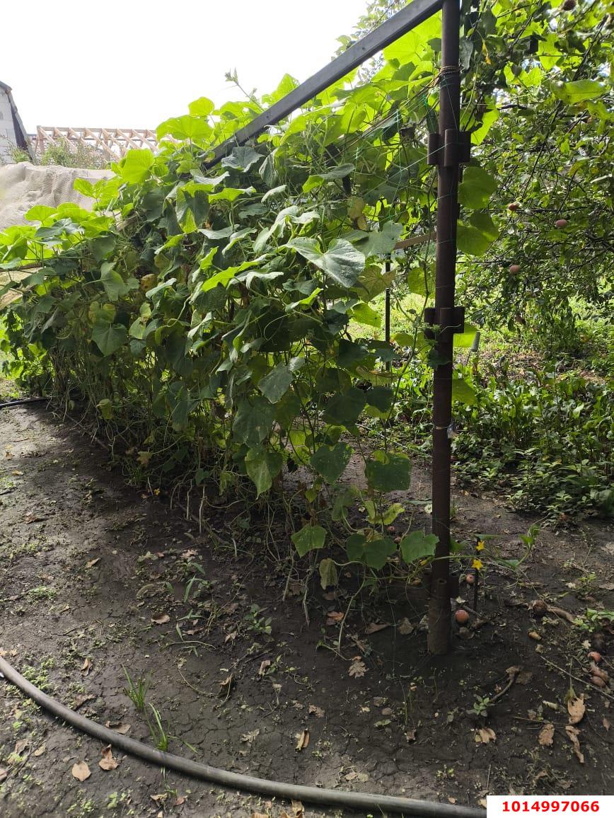 Фото №6: Участок садоводство 8.47 сот. - Строитель, Прикубанский внутригородской округ, ул. Сиреневая, 123