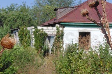 Фото №5: Личное подсобное хозяйство 91 сот. - Северный, ул. Будённого, 16