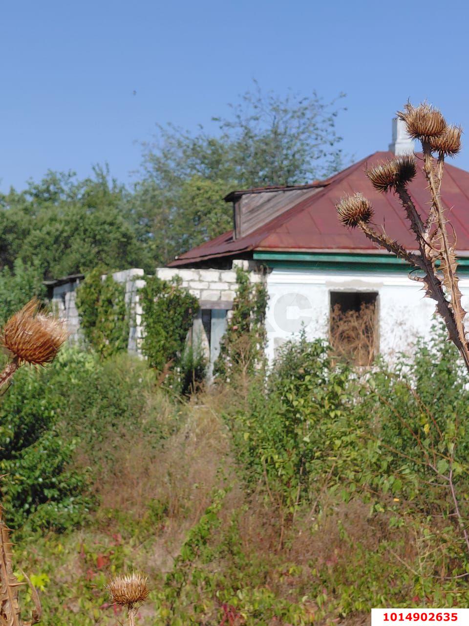 Фото №5: Личное подсобное хозяйство 91 сот. - Северный, ул. Будённого, 16