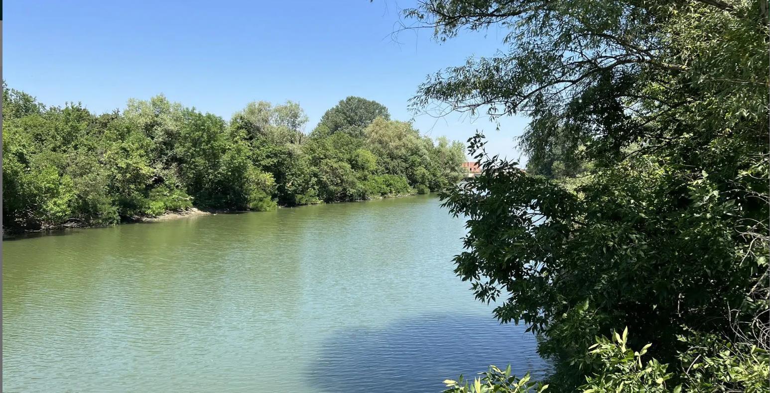 Фото №2: Коммерция 6 м² - СНТ Мелиоратор-1, ул. Клубничная, 16