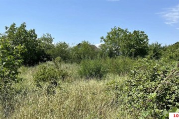 Фото №4: Коммерческая земля 6 сот. - СНТ Мелиоратор-1, ул. Клубничная, 16