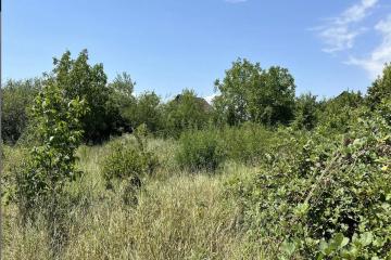 Фото №4: Коммерция 6 м² - СНТ Мелиоратор-1, ул. Клубничная, 16