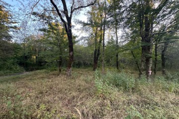 Фото №3: Участок садоводство 5 сот. - Полковничий, ул. Лесная, 15