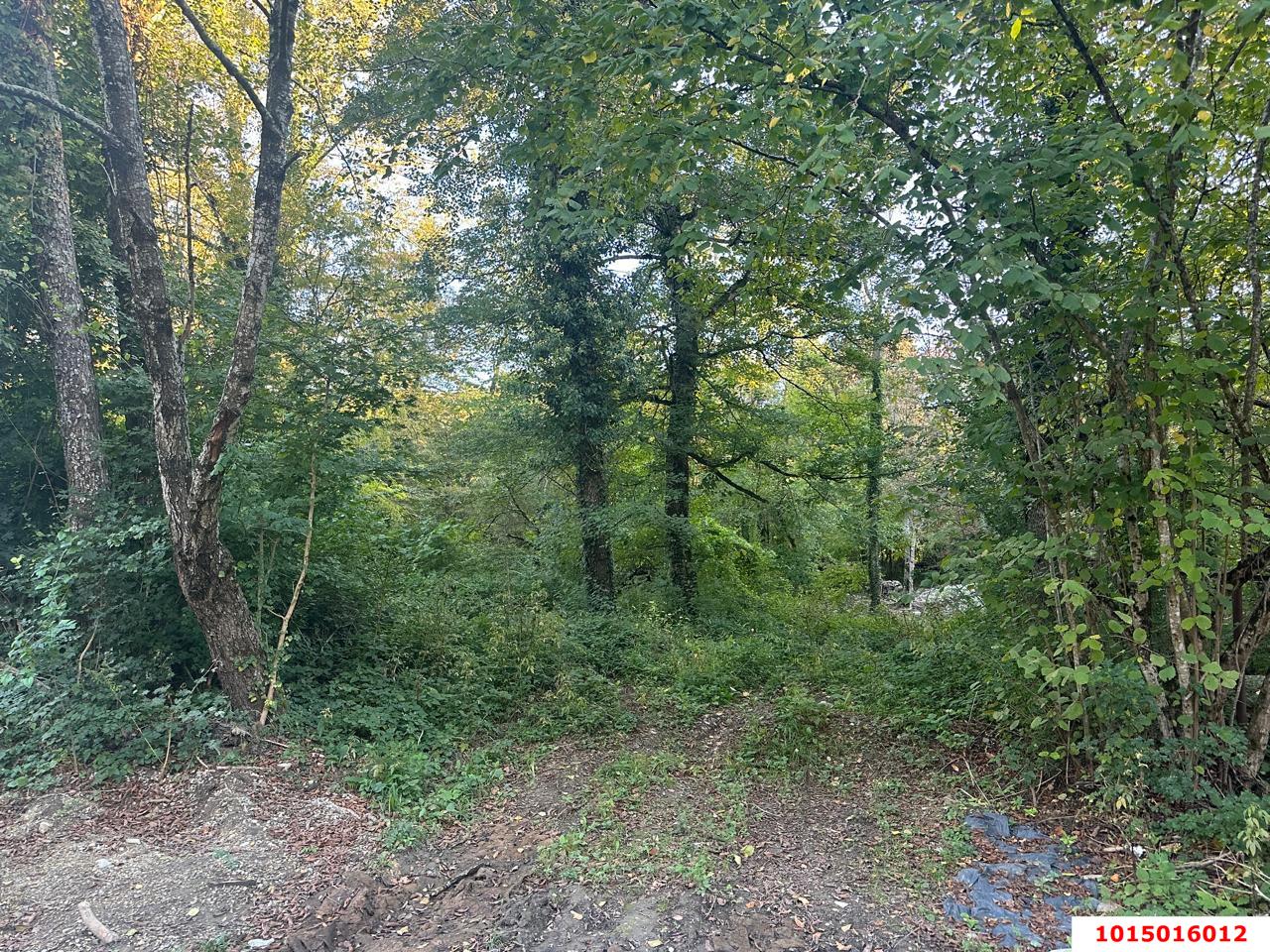 Фото №7: Земельный участок 5 сот. - Полковничий, ул. Лесная, 15