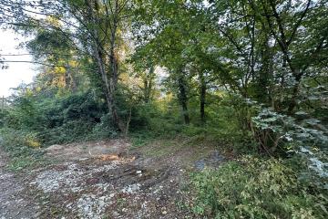 Фото №2: Земельный участок 5 сот. - Полковничий, ул. Лесная, 15