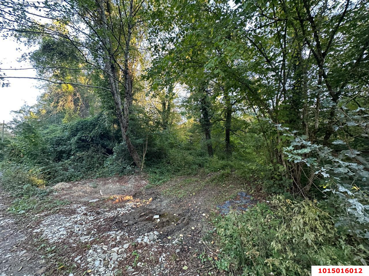 Фото №2: Земельный участок 5 сот. - Полковничий, ул. Лесная, 15