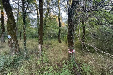 Фото №5: Участок садоводство 5 сот. - Полковничий, ул. Лесная, 15