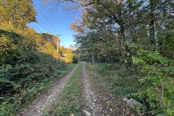 Фото №1: Земельный участок 5 сот. - Полковничий, ул. Лесная, 15