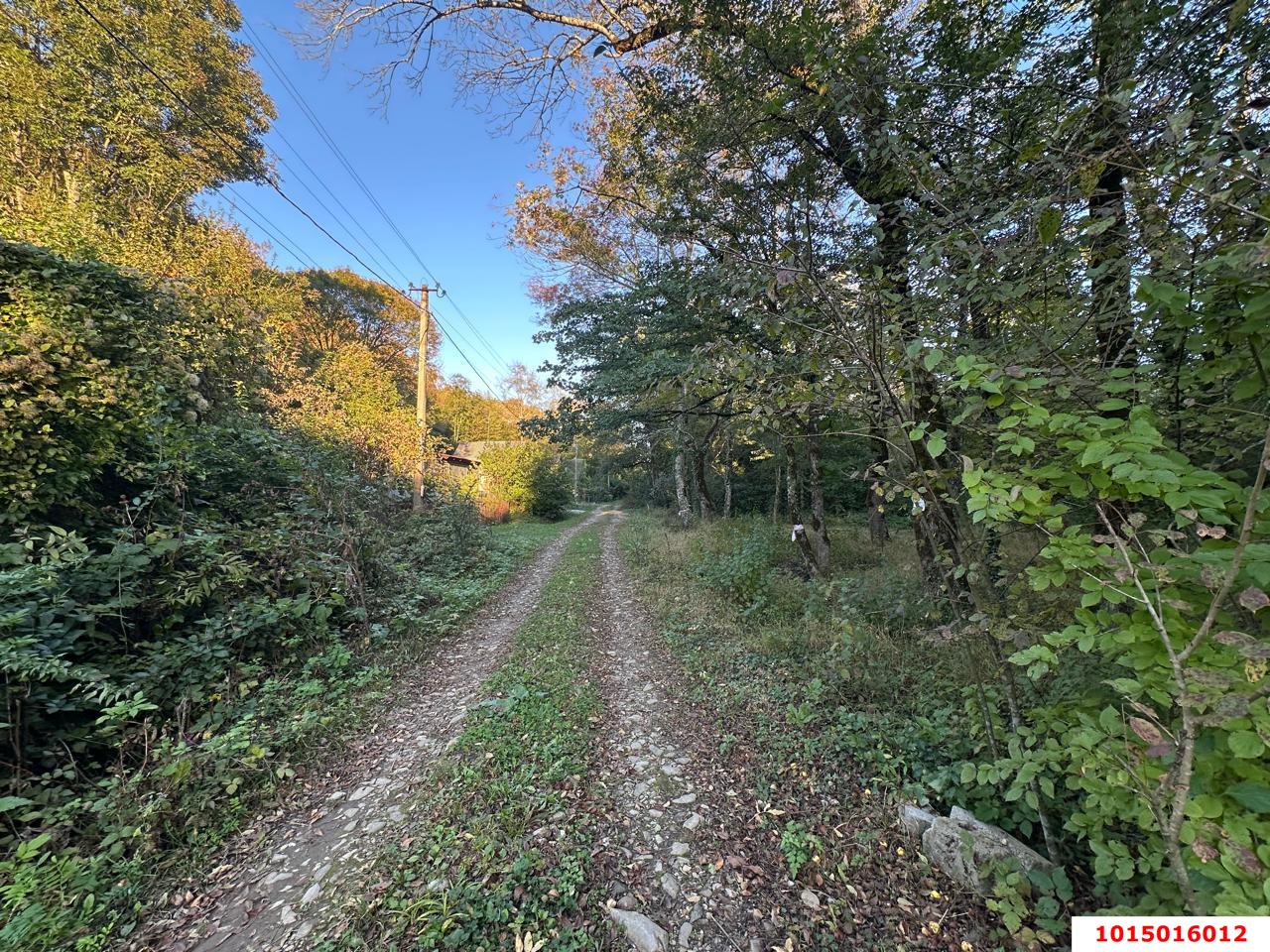 Фото №1: Земельный участок 5 сот. - Полковничий, ул. Лесная, 15