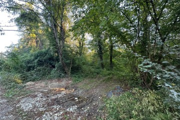 Фото №2: Участок садоводство 5 сот. - Полковничий, ул. Лесная, 15