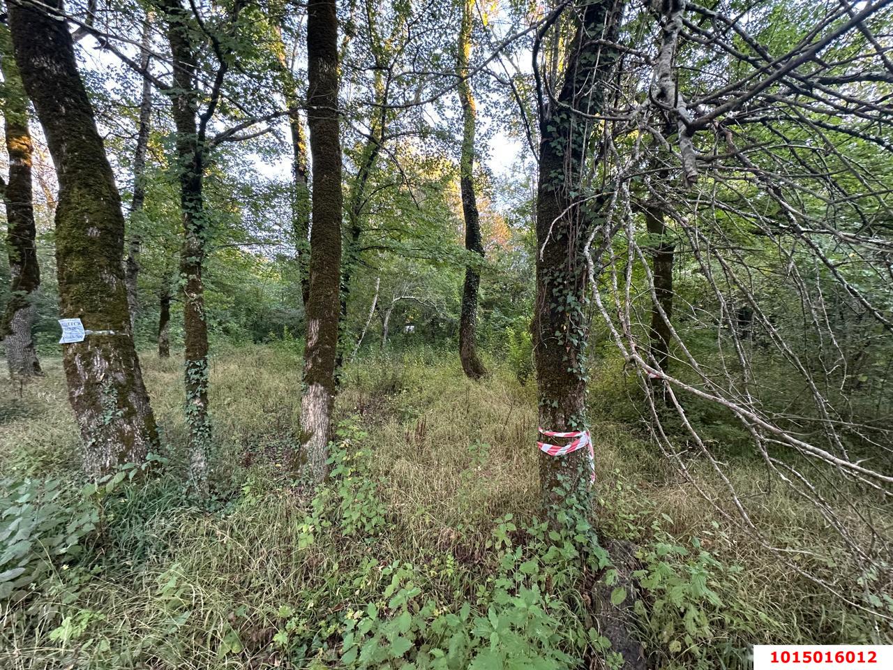 Фото №5: Земельный участок 5 сот. - Полковничий, ул. Лесная, 15